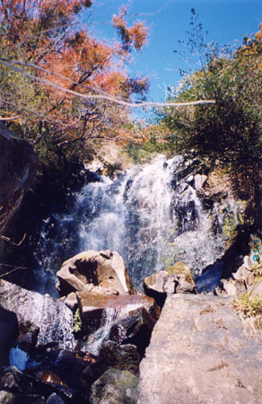 飛竜の滝