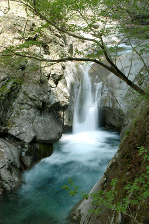 貞泉の滝