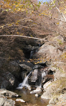 大岩の滝